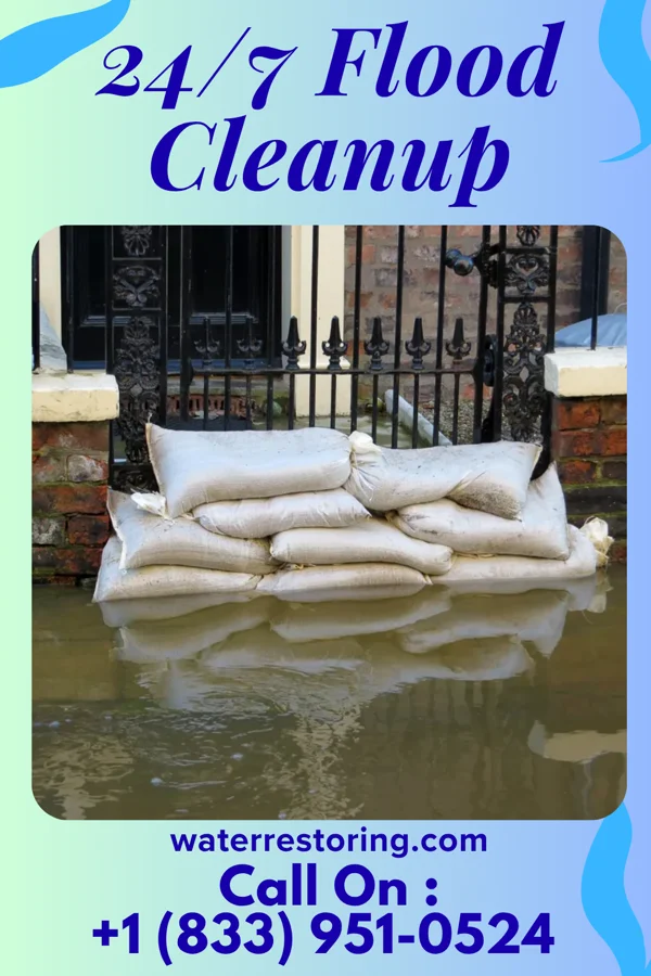 24/7 Flood Cleanup in Stony Creek, VA
