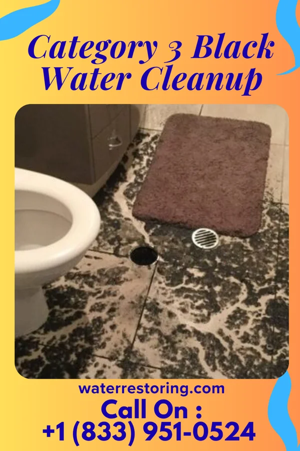 Category 3 Black Water Cleanup in Stony Creek, VA