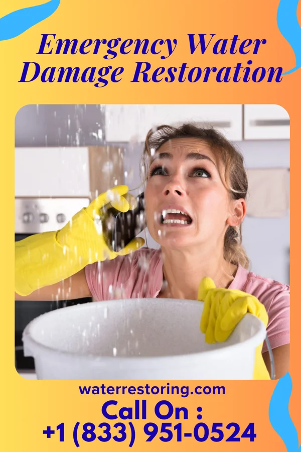 Emergency Water Damage Restoration in Stony Creek, VA